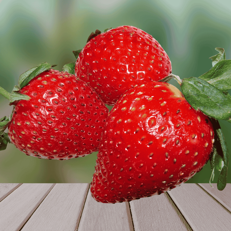 where is strawberry seeds located Dickens Strawberry Bare Root Plants