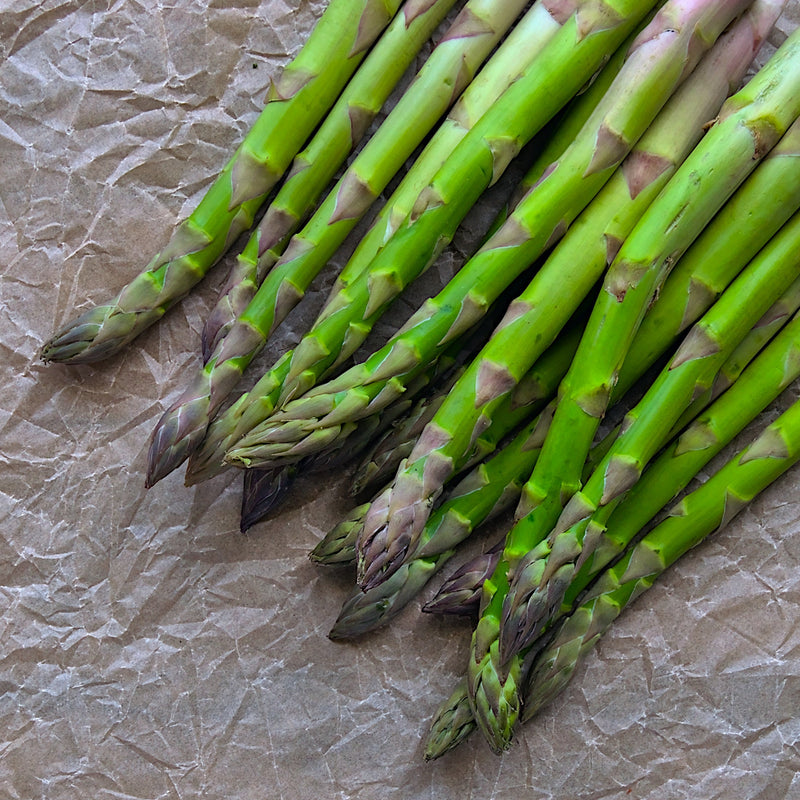 Jersey Giant Asparagus Crowns | Male Hybrid, Extra High Yield, Non-GMO