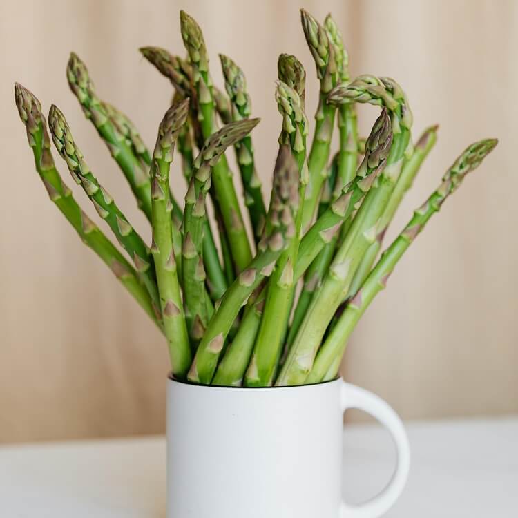 Asparagus