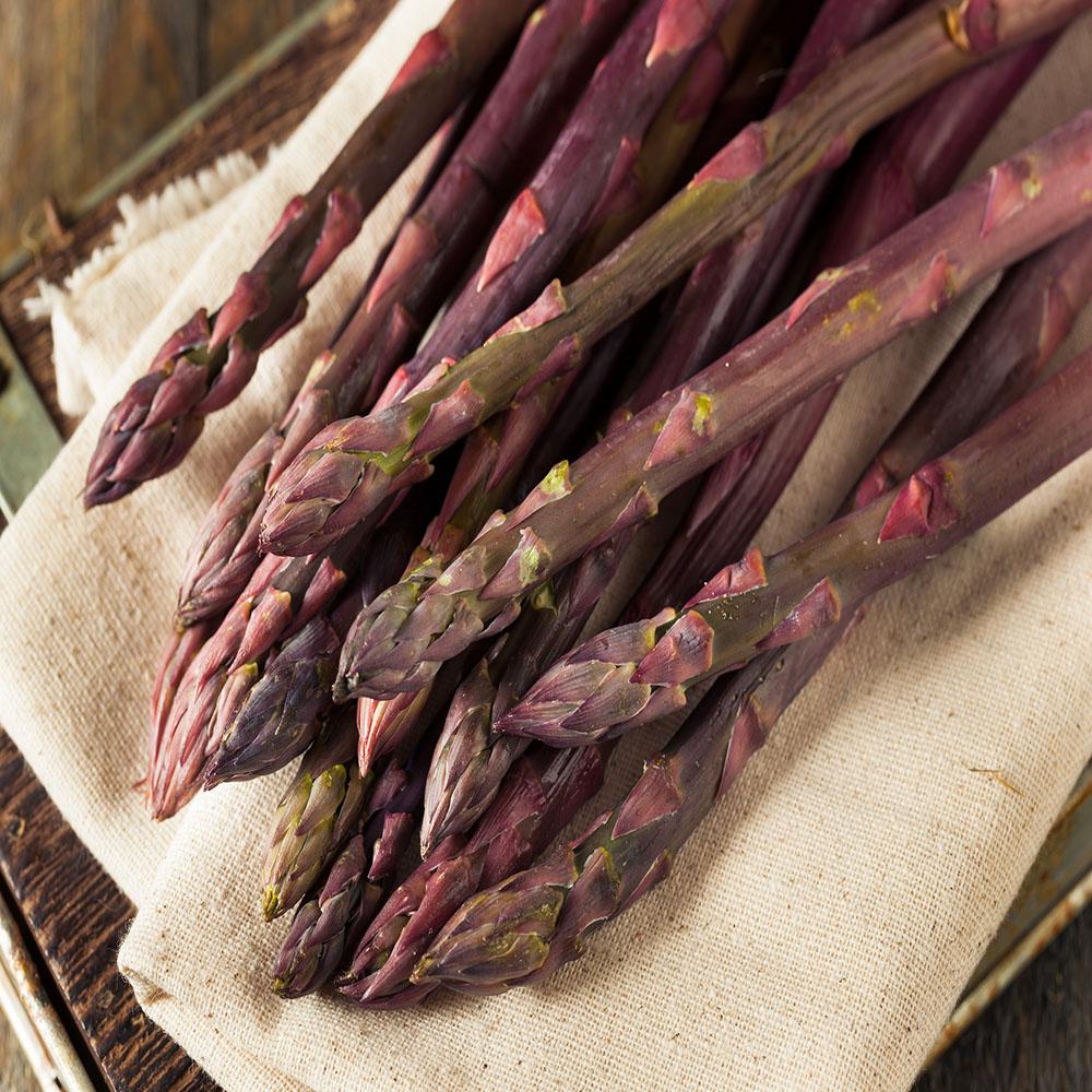 Purple Asparagus