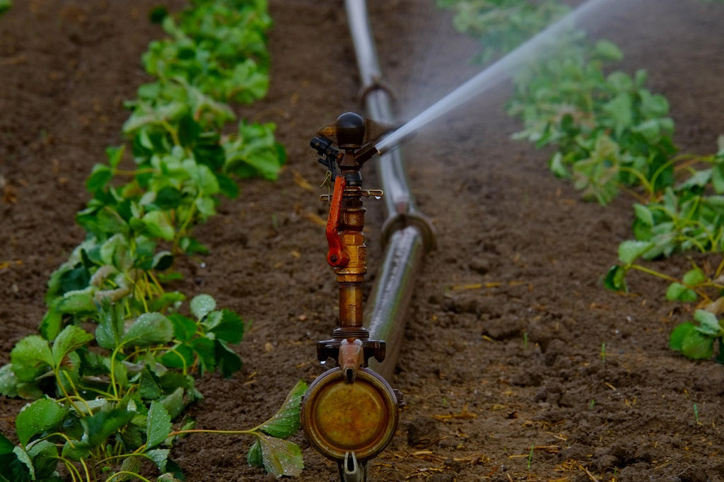 Water & Irrigation