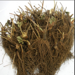 Earliglow June Bearing Strawberry Plants - BUY 4 GET 1 Free - Non GMO - Free Shipping