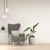 Cast Iron Plant live potted plant
