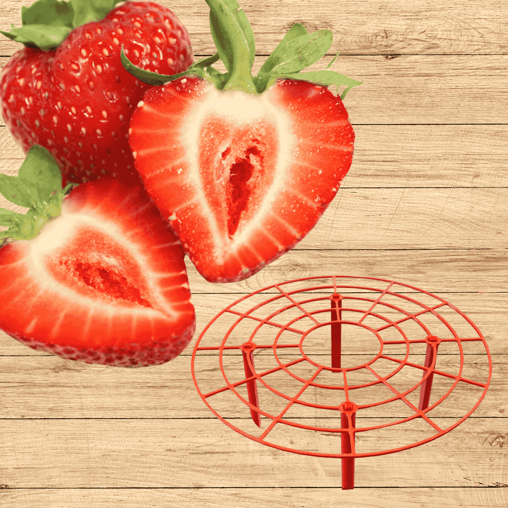 Red Strawberry Plant Supports With Everbearing Strawberry Plants