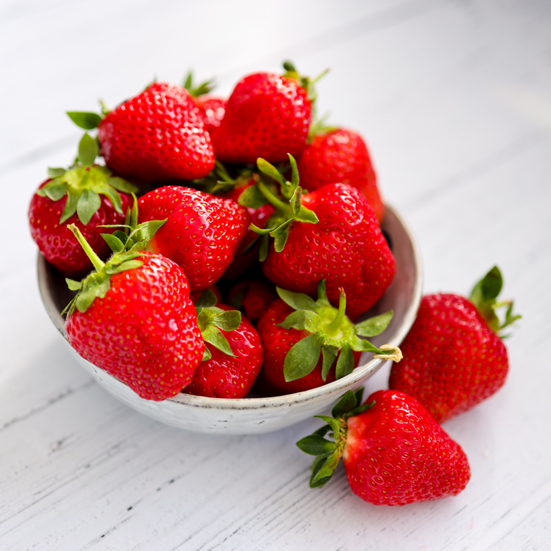 Everbearing Strawberry plants