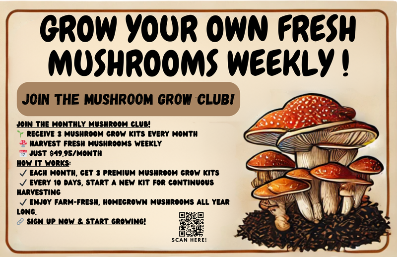 3 lbs. Oyster Mushroom Grow Kit – Grow Fresh, Gourmet Mushrooms at Home!