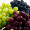 Fredonia Grape Vine - 1 Plant, 1-Gallon Potted