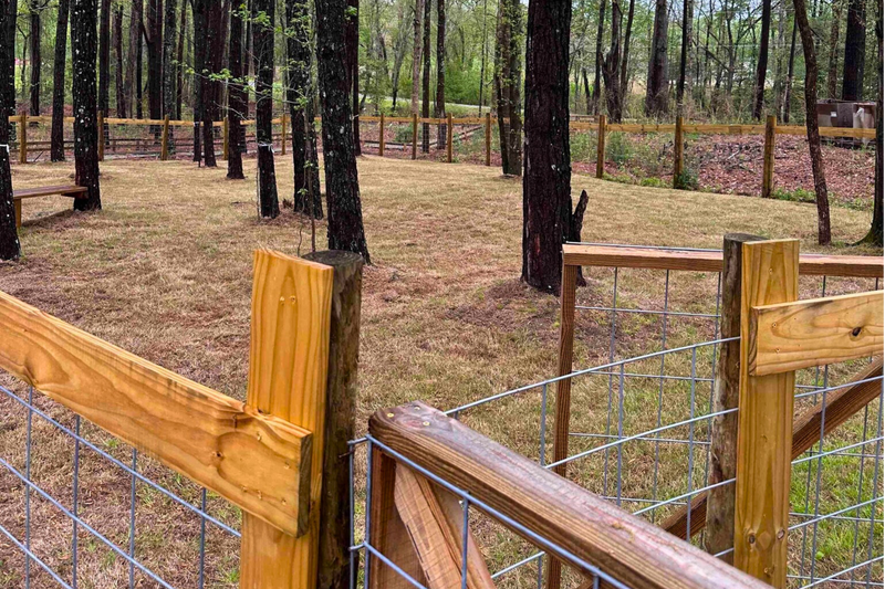 Wooden fence with wire mesh in a forested area