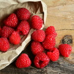 heritage red raspberry bareroot plant