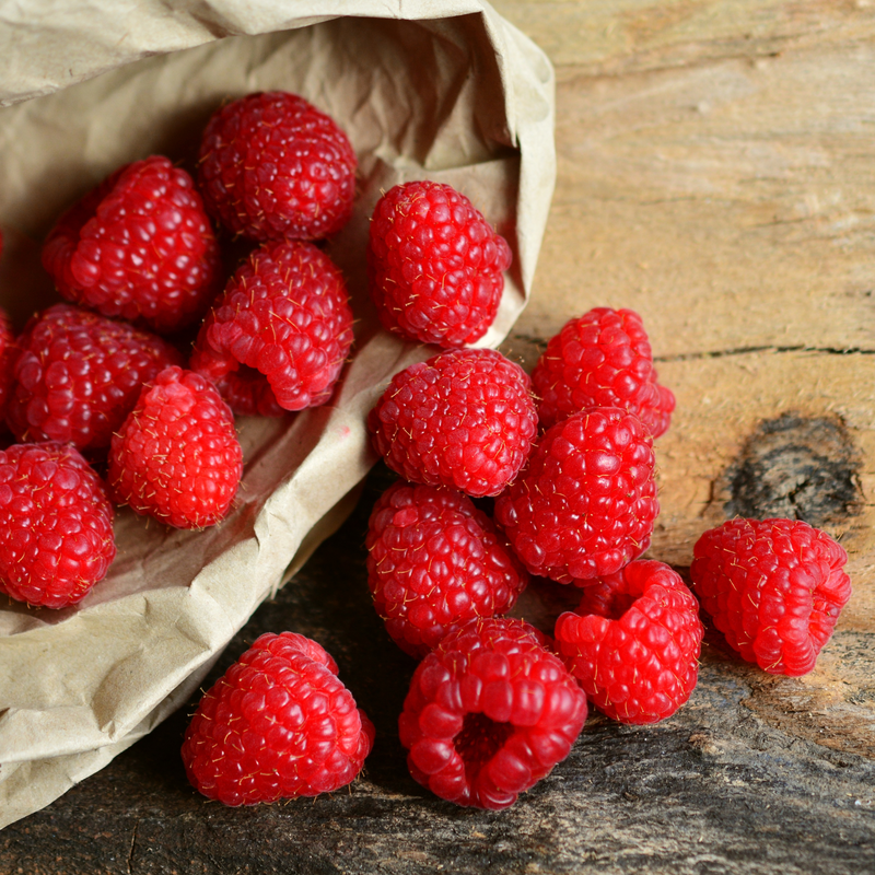 heritage red raspberry bareroot plant