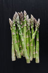 Jersey Giant Asparagus Plants