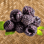 jewel black raspberry
