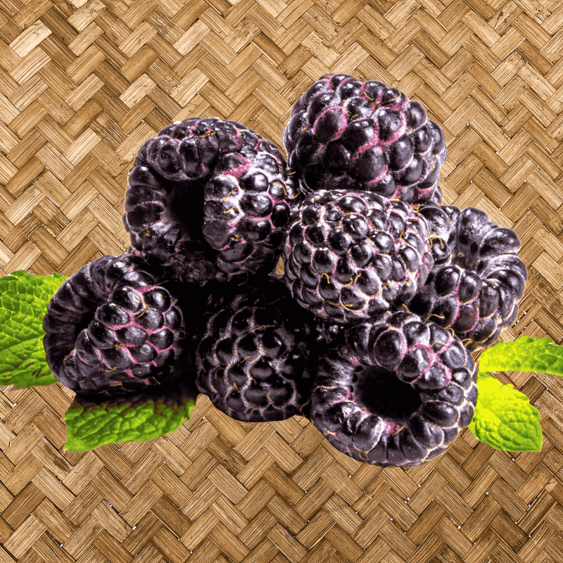 jewel black raspberry