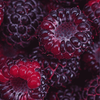 mac black raspberry