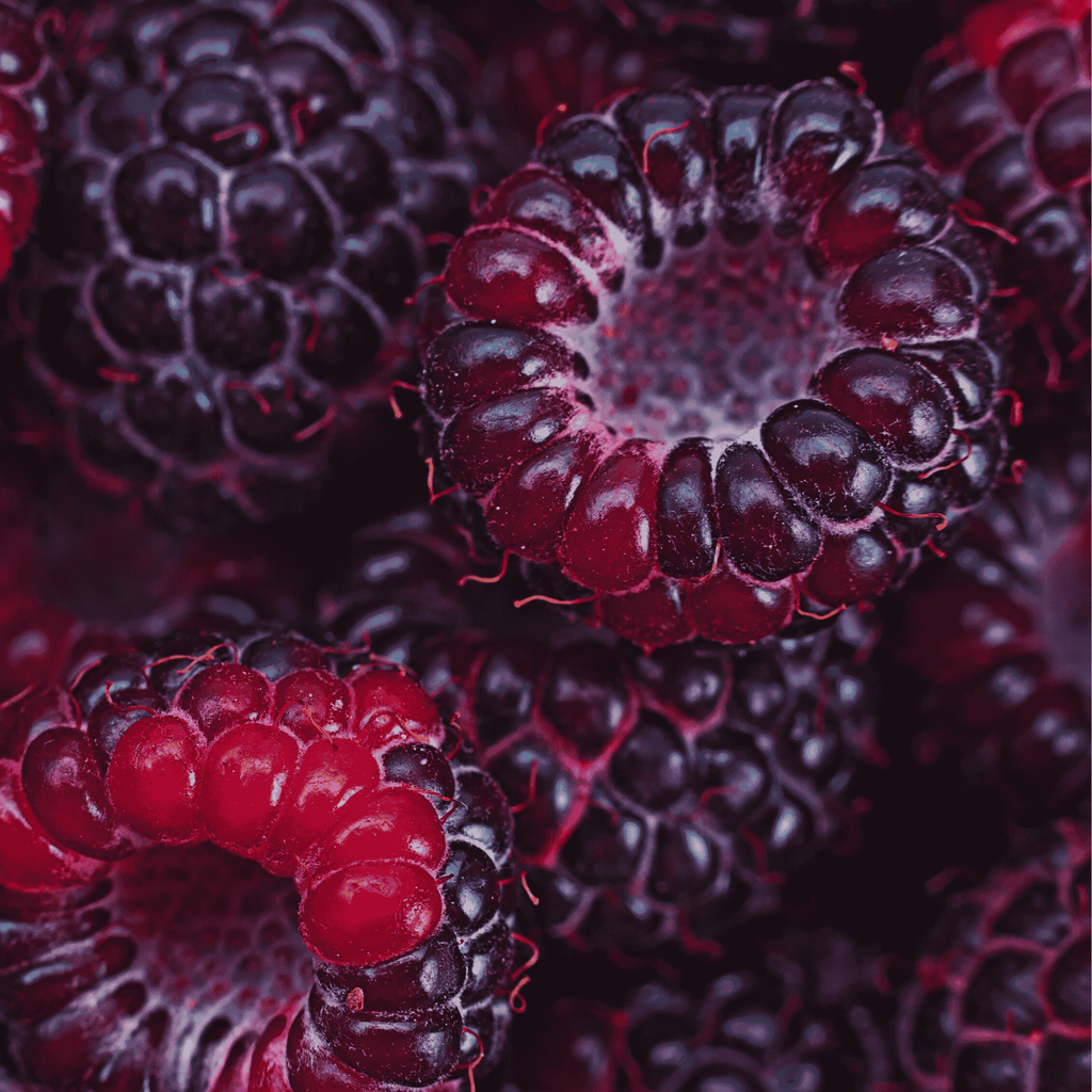 mac black raspberry