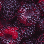 mac black raspberry
