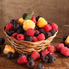 All Season Raspberry Plant Garden - 1 of each - Heritage Raspberry, Golden Rasberrry, Joan J, and Tahi  Black Raspberry.