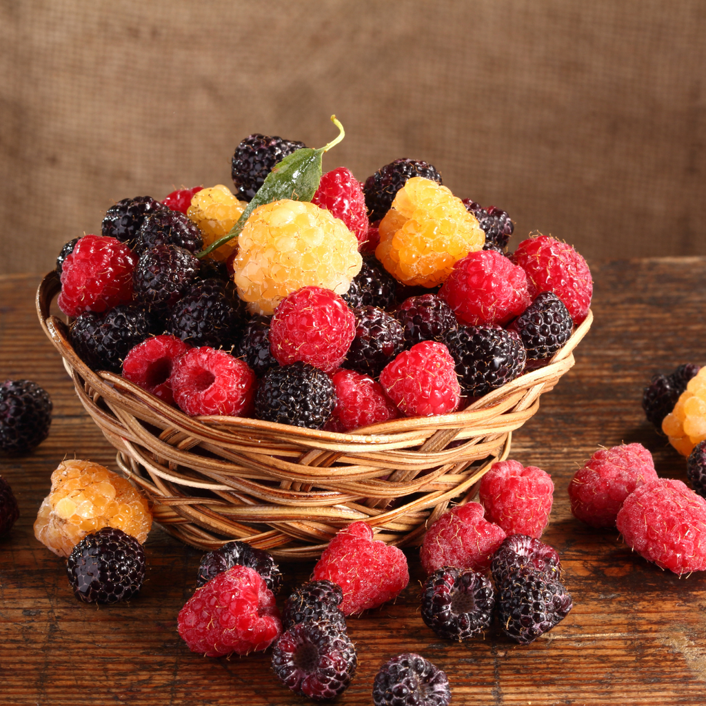 Cold Hardy Raspberry Varieties Bare Root Raspberry Plants | Sweet, Productive & Cold-Hardy Varieties ...