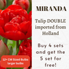 Miranda Tulip Bulbs