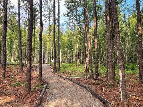 Nature Trail Benson North Carolina