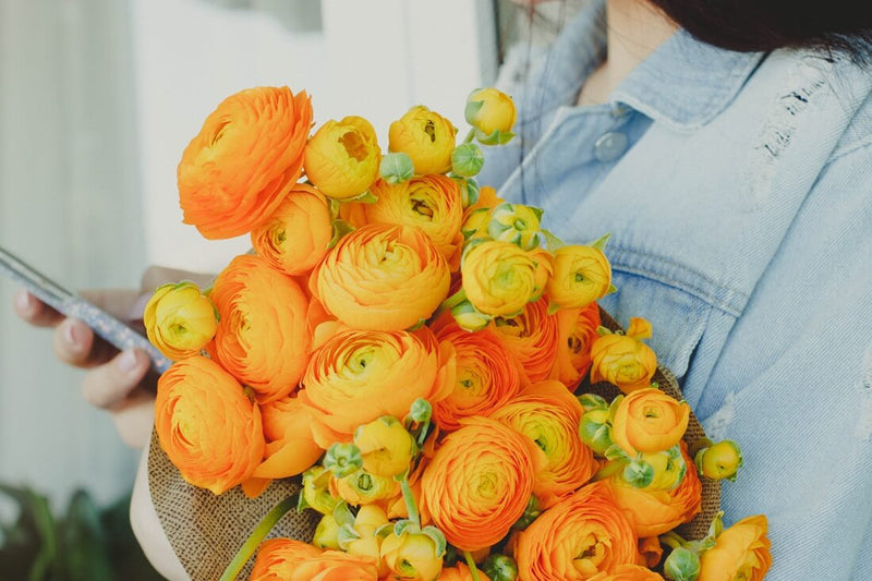 Orange Ranunculus Bulbs