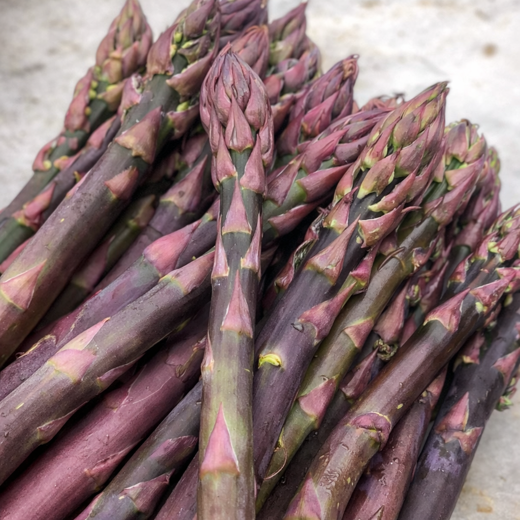 Purple Pacific Asparagus bundle