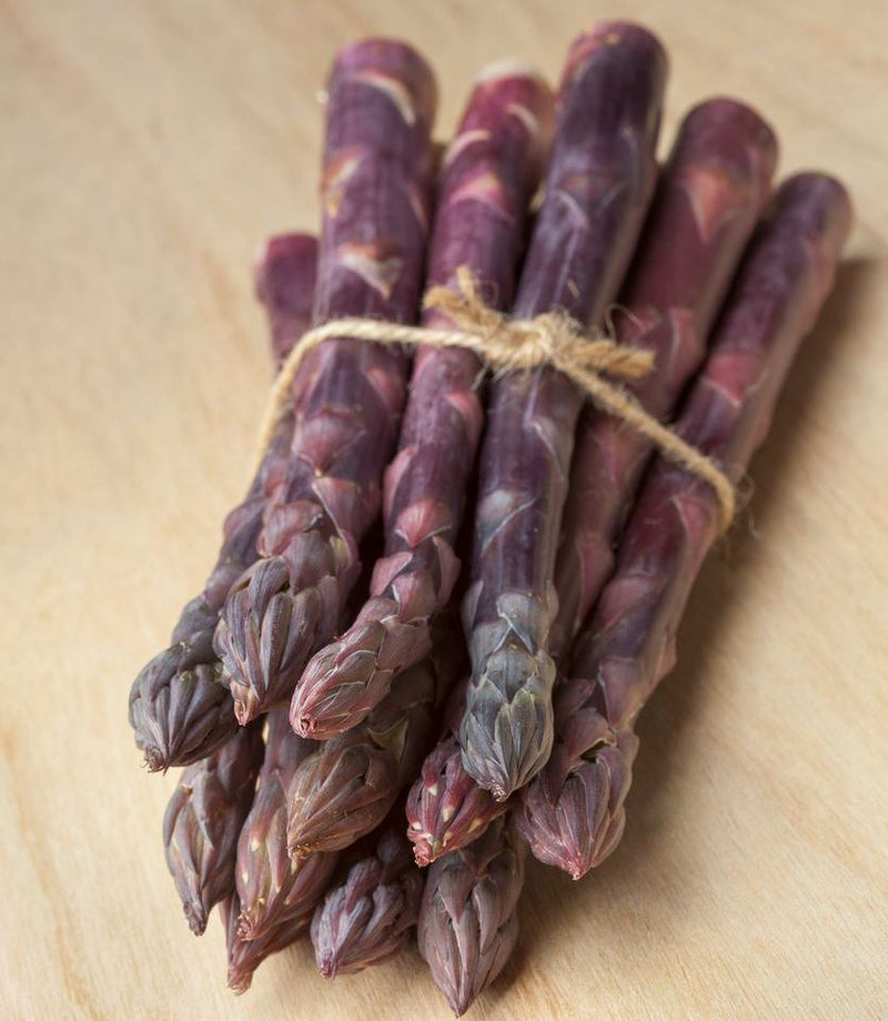 Purple Passion Asparagus Plants