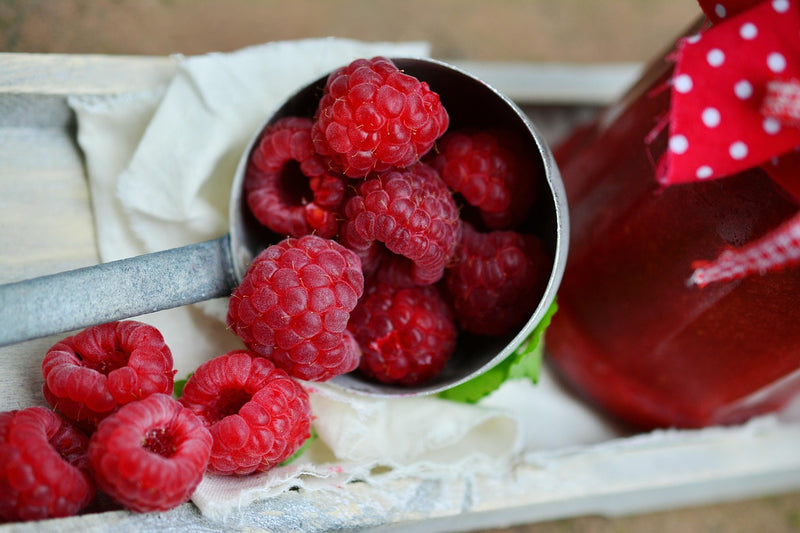 Dorman Red Raspberry Plants | Everbearing (Summer & Fall) | Medium Swe ...