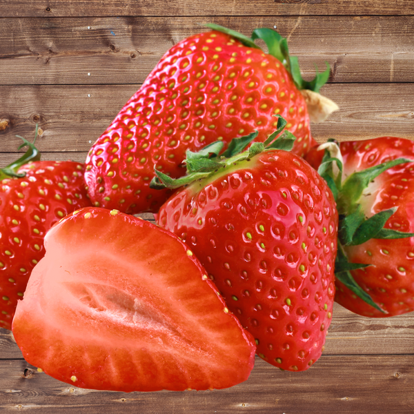 seascape strawberry seeds Seascape Everbearing Strawberry Plants | Live Bare Root