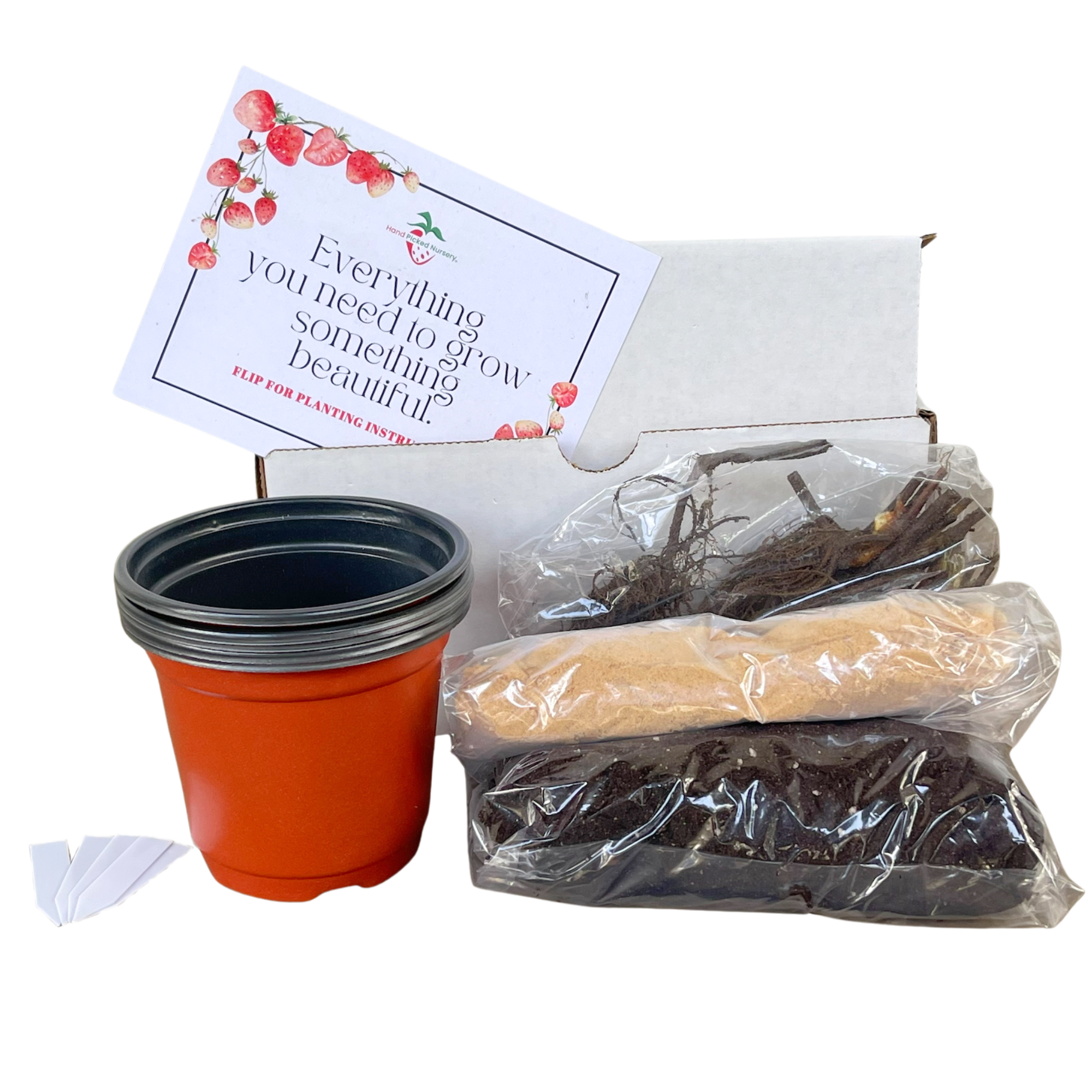indoor strawberry plant kit Strawberry Grow Kit | Plants, Soil, Pots, and Instruction Included!