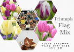 Tulip Triumph Flag Mix