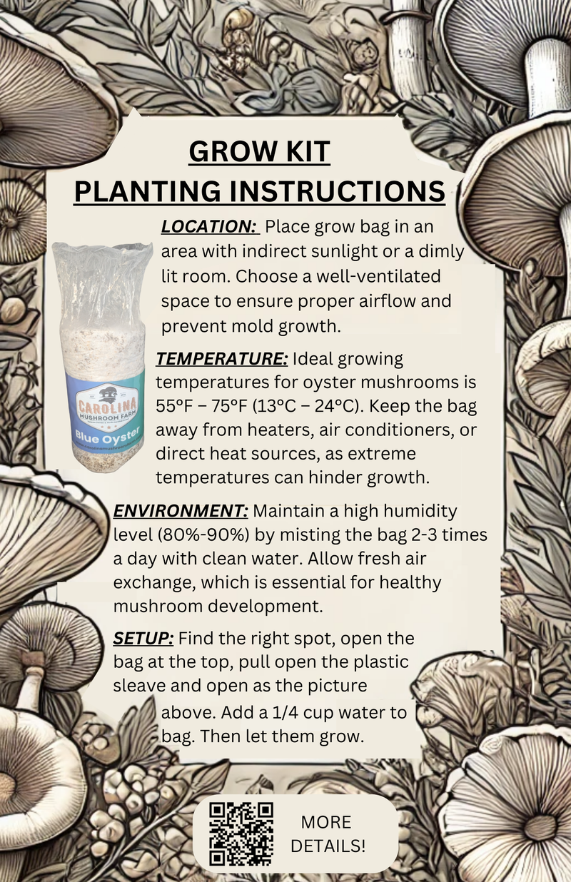 3 lbs. Oyster Mushroom Grow Kit – Grow Fresh, Gourmet Mushrooms at Home!