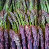 Asparagus Garden variety pack: Jersey Knight, Mary Washington, Purple Passion - 10 each