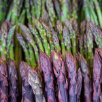 Asparagus Garden variety pack: Jersey Knight, Mary Washington, Purple Passion - 10 each