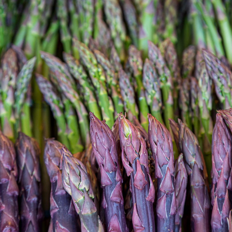 Asparagus Garden variety pack: Jersey Knight, Mary Washington, Purple Passion - 10 each