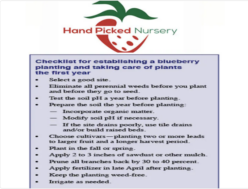 Fruit Garden - 1 each -  Heritage Raspberry, Triple Crown Blackberry, Darlene Blueberry, Camerosa Strawberry (10)