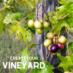 Muscadine Wine Collection - 1 each - Personal Vineyard Collection for Wine Enthusiasts: Muscadine Varieties