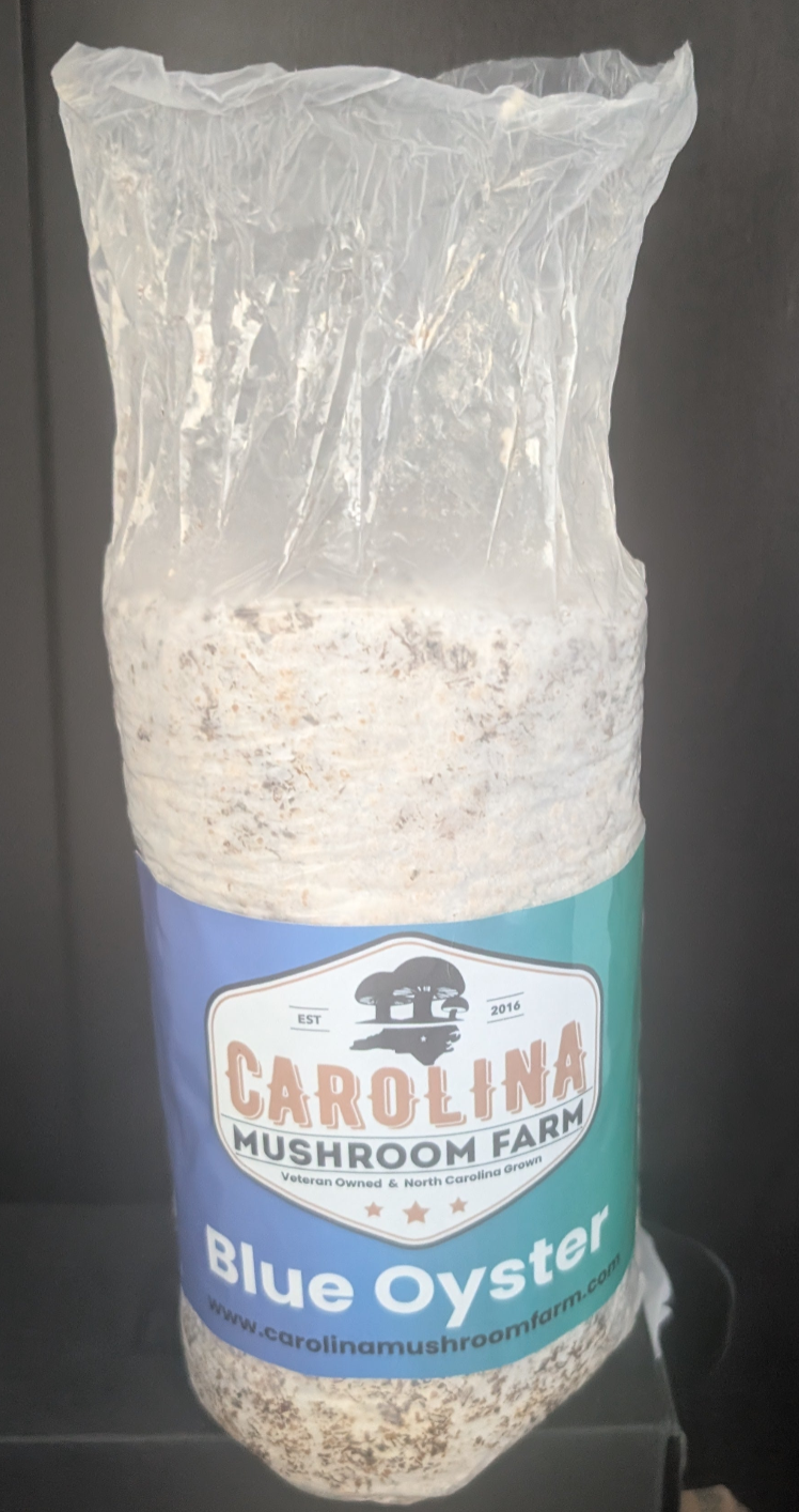 3 lbs. Oyster Mushroom Grow Kit – Grow Fresh, Gourmet Mushrooms at Home!