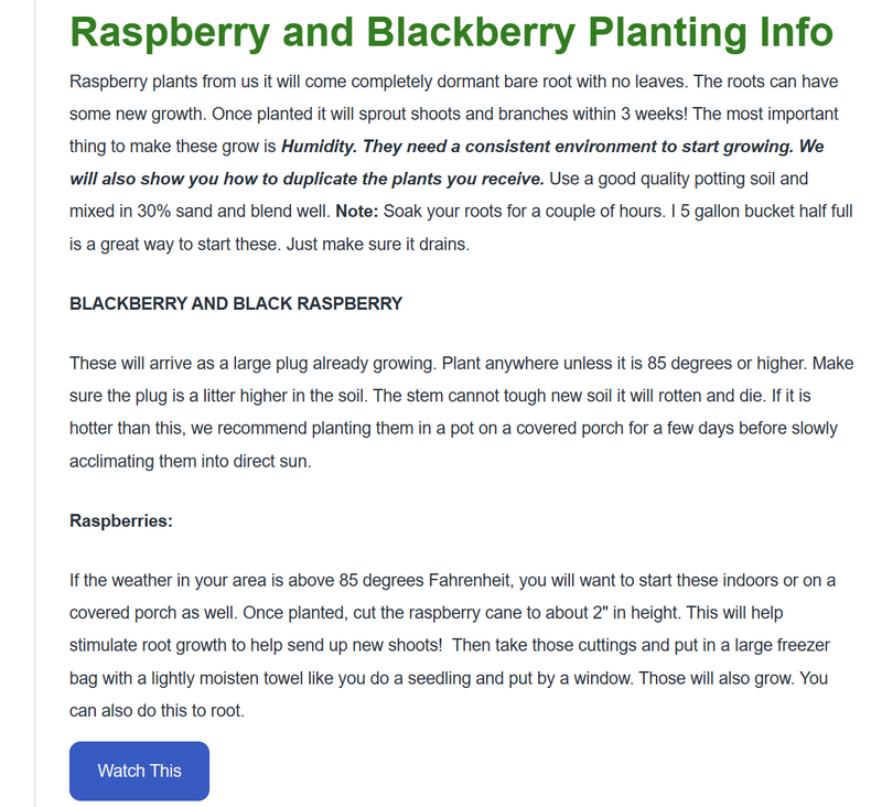 Josephine Raspberry Plants, Non GMO - 2 year old Bare root plants ...