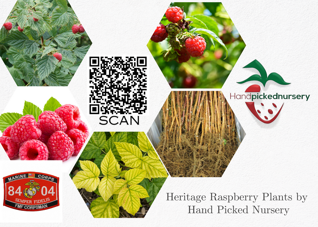 Products – Hand Picked Nursery