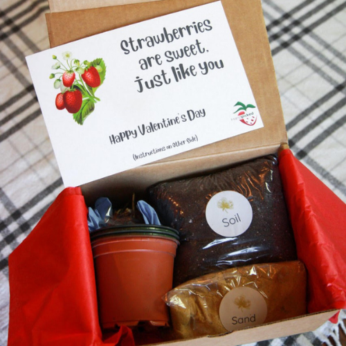 Strawberry Gift Kit