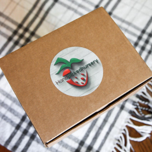 Strawberry Gift Kit