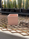 Square Ceramic Pot 2.5" x 2.5"