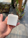 Square Ceramic Pot 2.5" x 2.5"