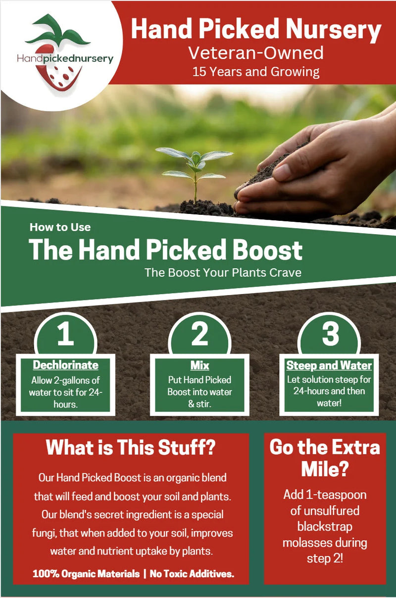 1 Canada Rhubarb - Bareroot - Free Shipping - Soil Boost Included! ***Preorder for March