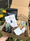 Succulent Gift Box - Variation's Available! Select your box Aloe, Cacti, Succulent, String Plants - Planting Kit with Goodies! FREE 2 DAY SHIPPING!!