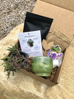 Succulent Gift Box - Variation's Available! Select your box Aloe, Cacti, Succulent, String Plants - Planting Kit with Goodies! FREE 2 DAY SHIPPING!!